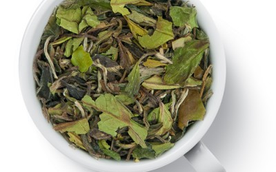 О свойствах и способах приготовления зеленого чая