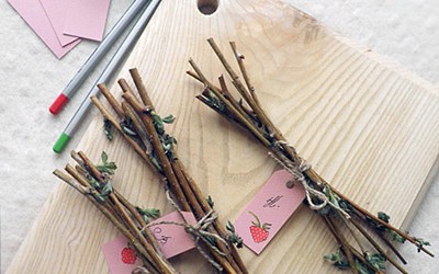 Чаи из веточек на любой вкус – полезно и бесплатно