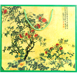 Пакет подарочный "Каллиграфия"