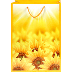 Подарочный пакет "Подсолнух"