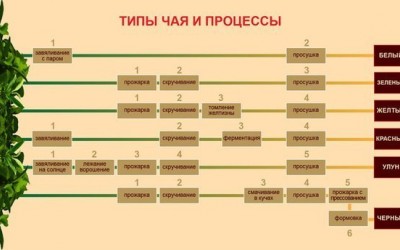 Оригинальный вкуса чая посредством различных популярных методов